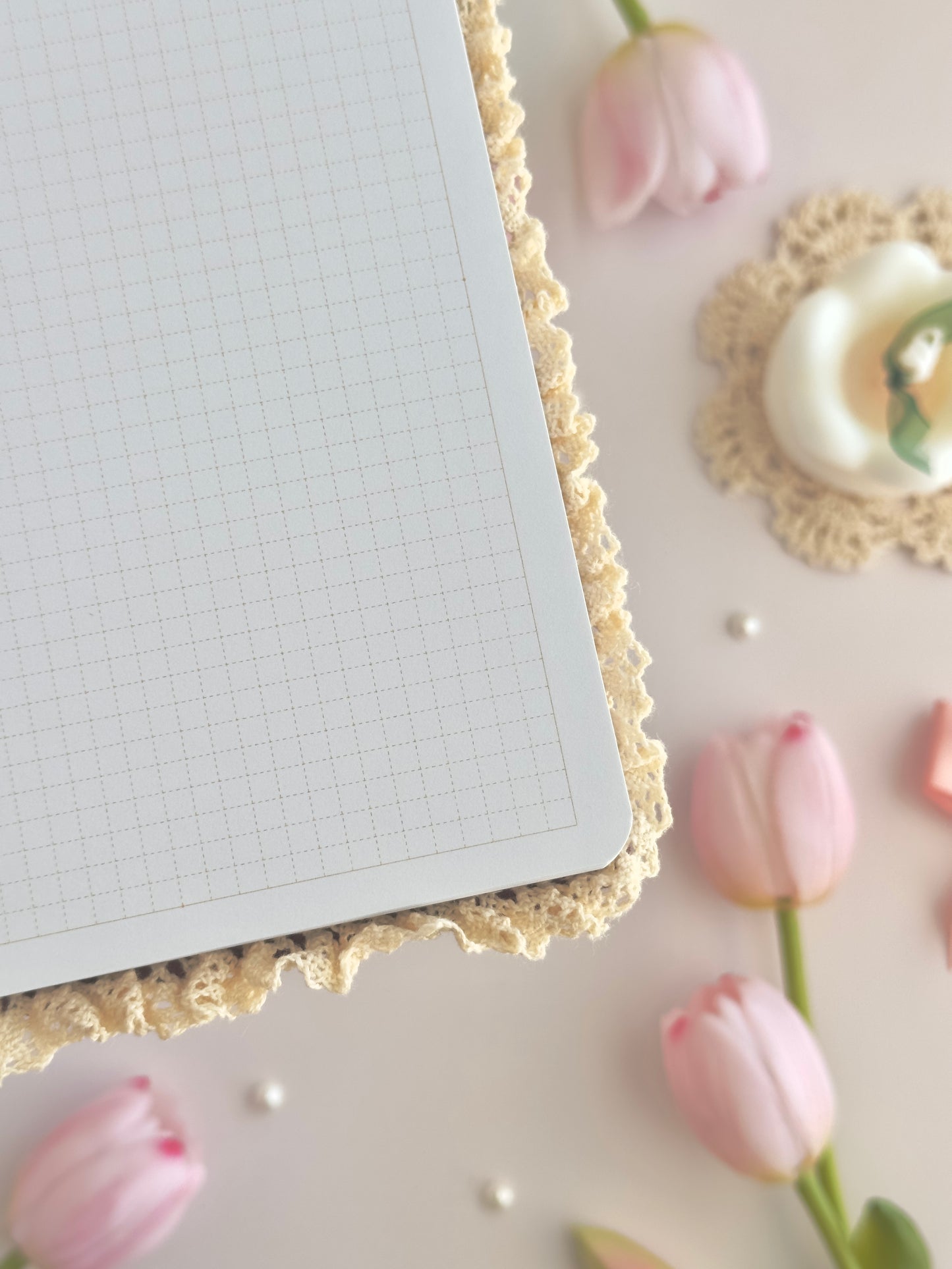 160 gsm | TN | calico cat notebook (dotted, grid)