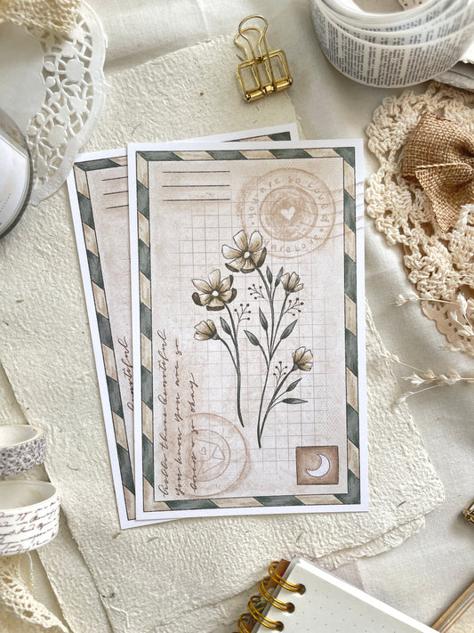 *retiring* vintage botanical postcard 4x6