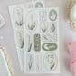 lily of the valley & frames 2 sticker sheet - 2pc set
