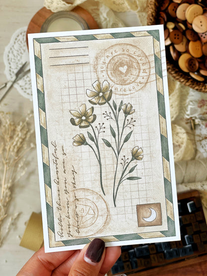 *retiring* vintage botanical postcard 4x6