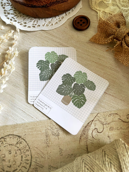 *retiring* monstera pantone sticker flake 2x2.5