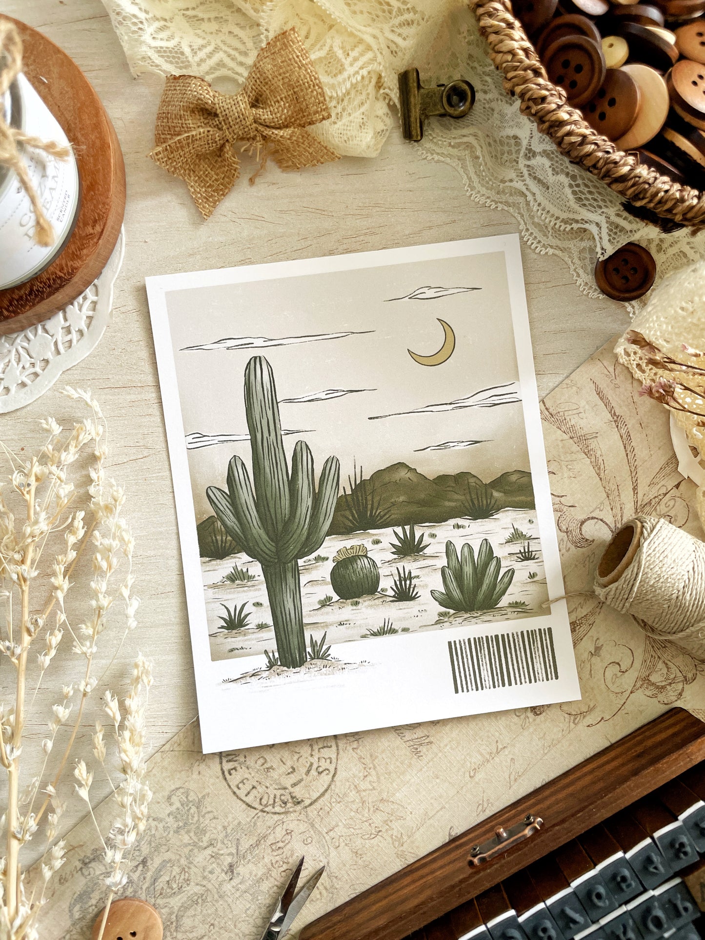 cactus dream art print 5x6.25