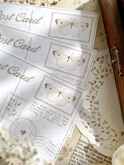 butterfly postcard 4x6