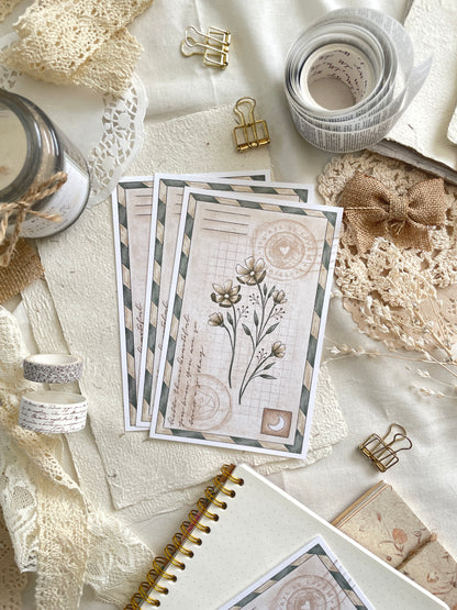 *retiring* vintage botanical postcard 4x6