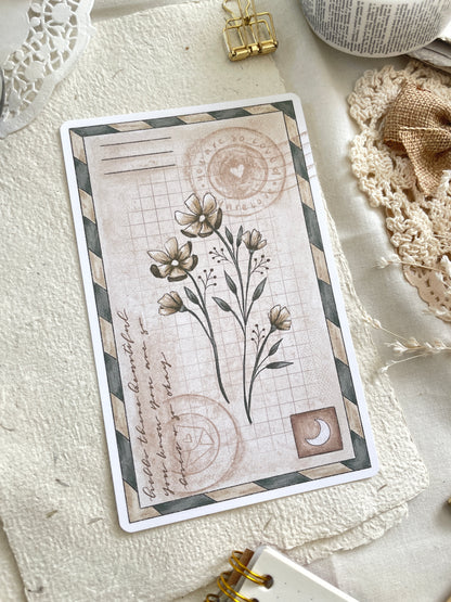 *retiring* vintage botanical postcard 4x6